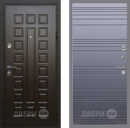 Входная металлическая Дверь Рекс (REX) Премиум 3к Line Силк титан в Балашихе