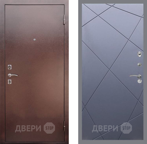 Входная металлическая Дверь Рекс (REX) 1 FL-291 Силк титан в Балашихе