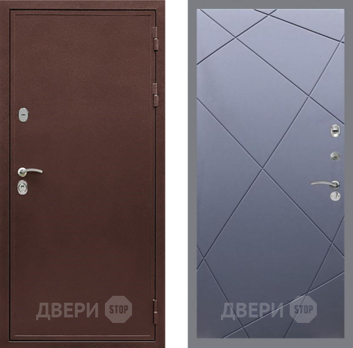 Дверь Рекс (REX) 5 металл 3 мм FL-291 Силк титан в Балашихе